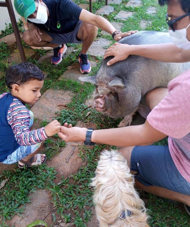 Aldeia Parque Pousada Rural São Roque Eksteriør billede