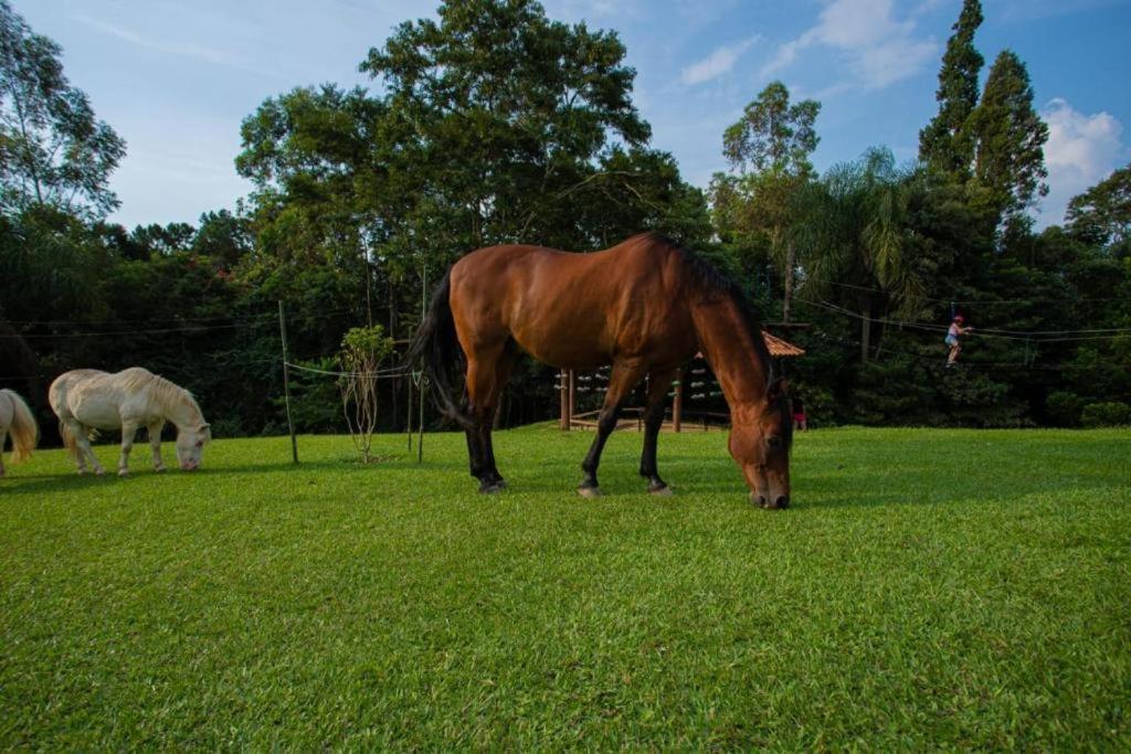 Aldeia Parque Pousada Rural São Roque Eksteriør billede