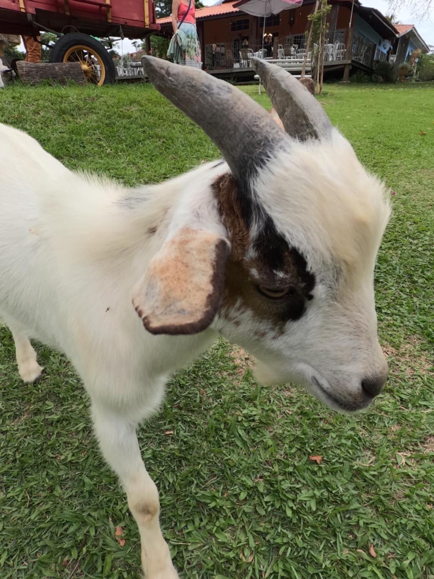 Aldeia Parque Pousada Rural São Roque Eksteriør billede