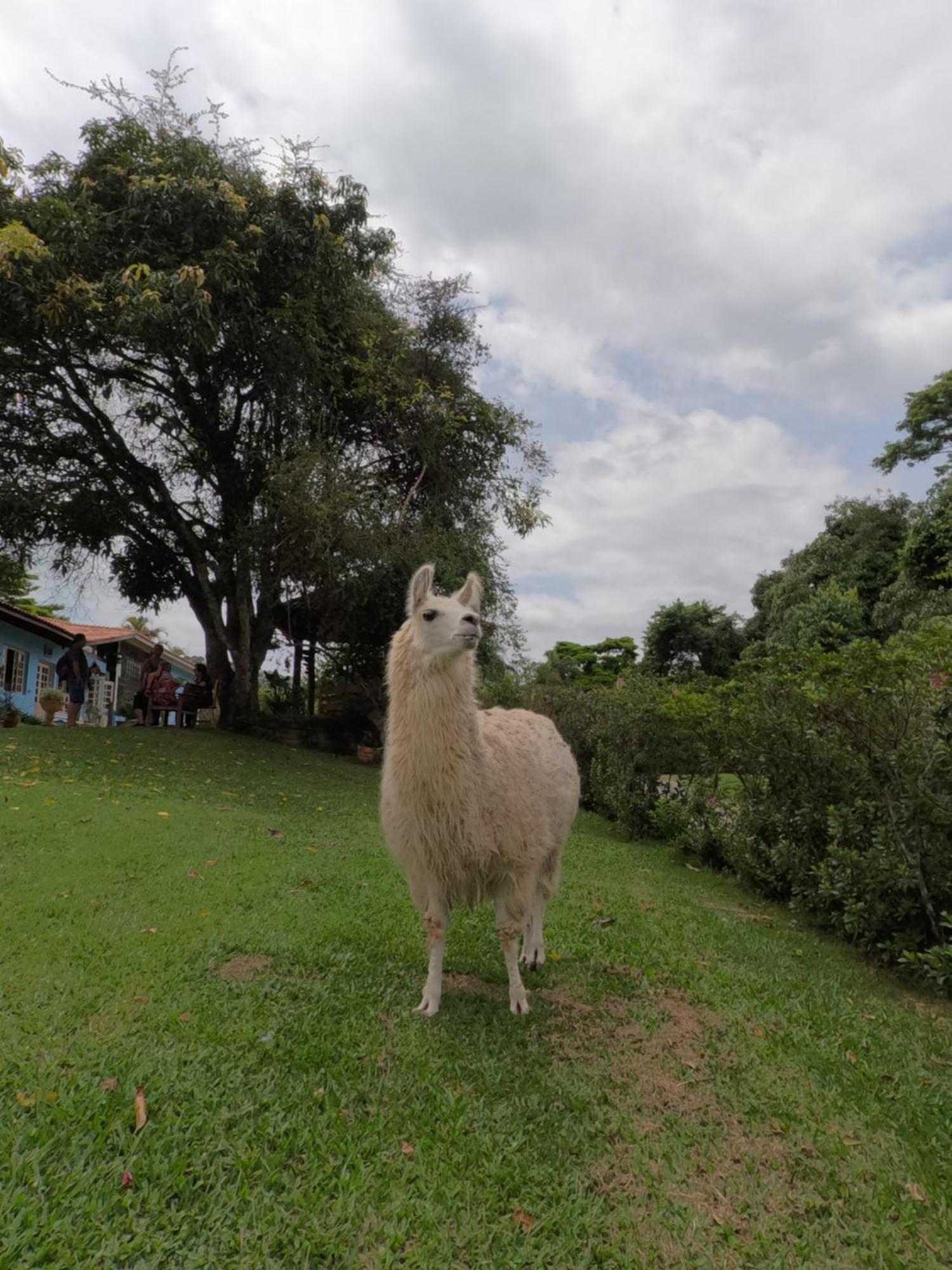 Aldeia Parque Pousada Rural São Roque Eksteriør billede