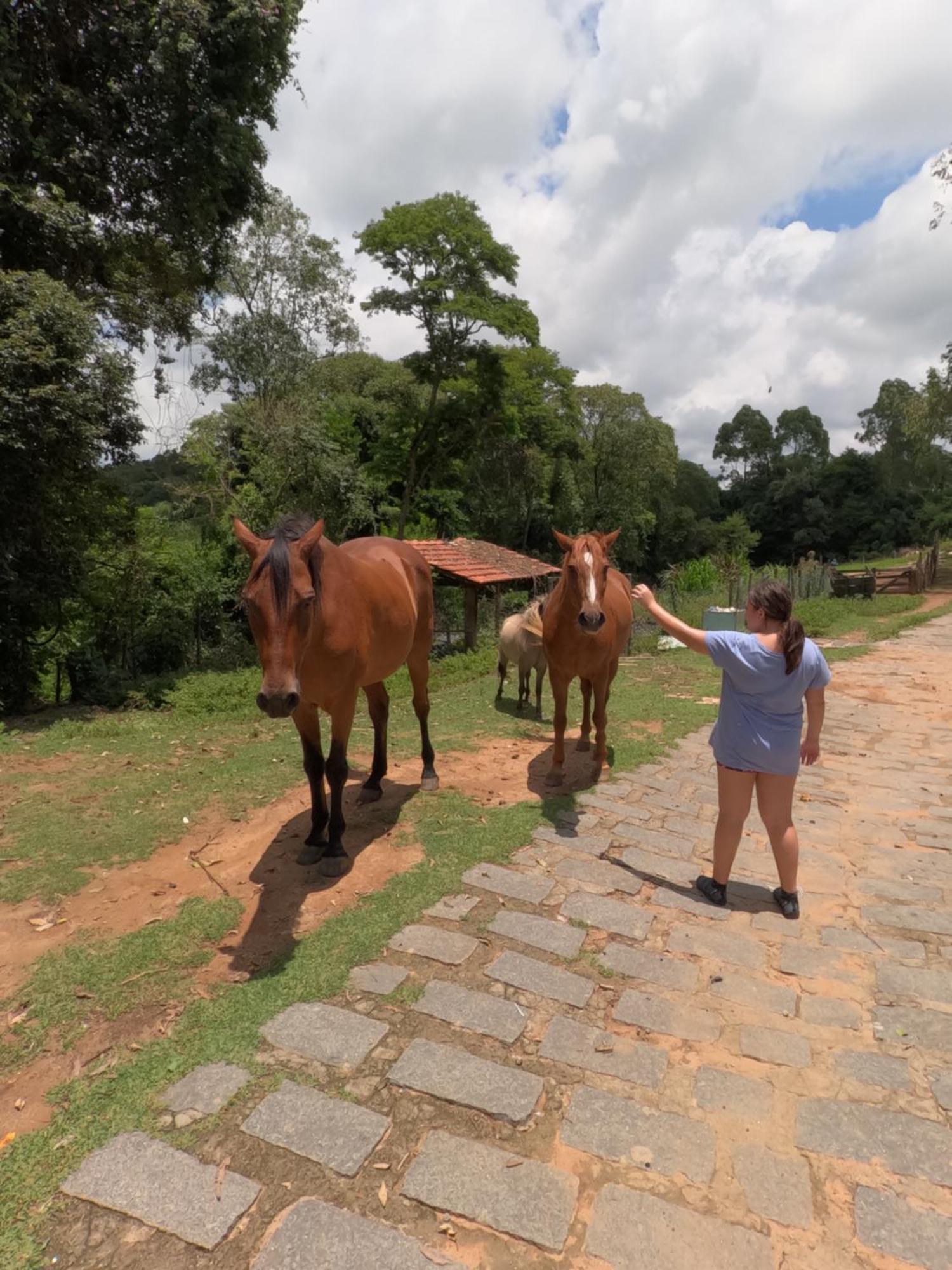 Aldeia Parque Pousada Rural São Roque Eksteriør billede