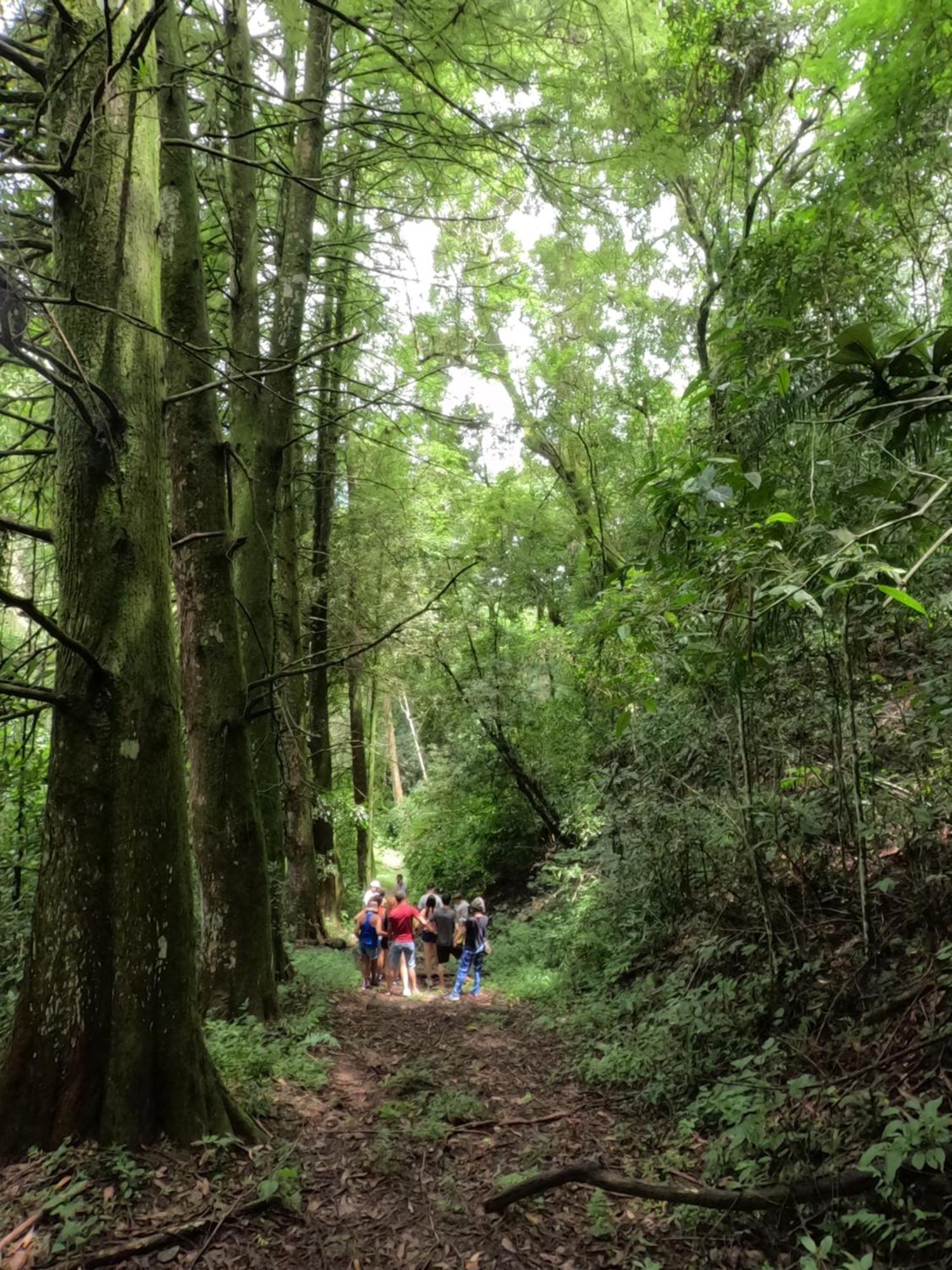 Aldeia Parque Pousada Rural São Roque Eksteriør billede